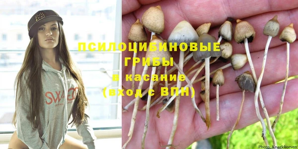дурь Верхний Тагил
