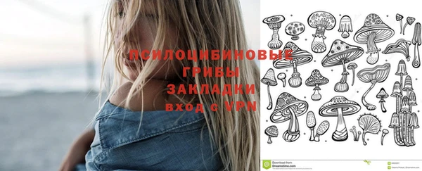 соль курить ск Верея